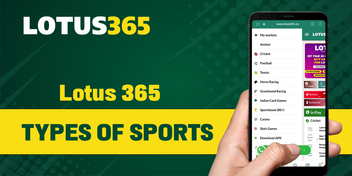 Sports available for betting on Lotus 365 online bookmaker's website
